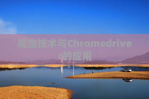 爬虫技术与Chromedriver的应用